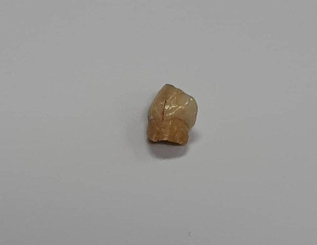 باستان شناسان در جستجوی اطلاعات تکمیلی دندان نئاندرتال کرمانشاه