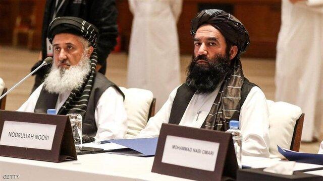 ملازهی: طالبان برای مذاکره با دولت منتظر انتخابات جدید در ملازهی: طالبان برای مذاکره با دولت منتظر انتخابات جدید در افغانستان است