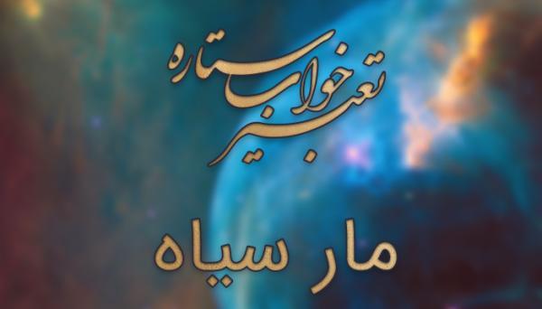 تعبیر خواب مار سیاه - دیدن مار سیاه در خواب چه تعبیری دارد؟ تعبیر خواب مار سیاه - دیدن مار سیاه در خواب چه تعبیری دارد؟