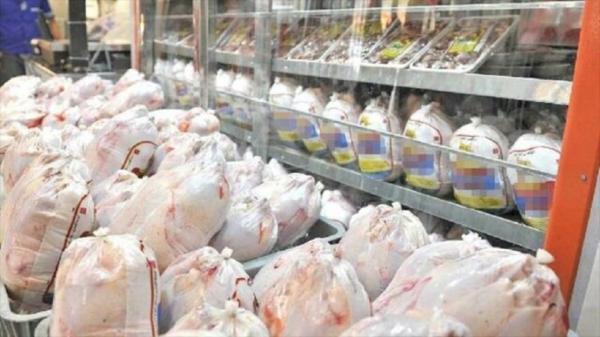 توزیع روزانه 50 تا 60 تن مرغ گرم در همدان توزیع روزانه 50 تا 60 تن مرغ گرم در همدان