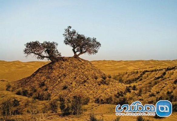 بیابان تکله مکان یکی از دیدنی ترین بیابان های دنیا است بیابان تکله مکان یکی از دیدنی ترین بیابان های جهان است