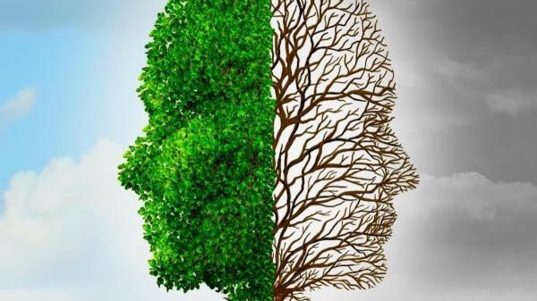 چه فصلی مغز ما بهتر کار می نماید؟